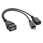 Firestick & Lan OTG